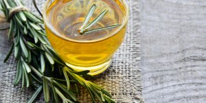 3 bienfaits sante de la tisane de romarin