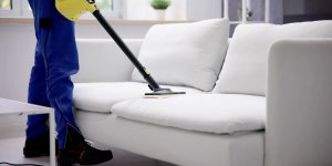 Punaises de lit : le manque d’hygiene en cause ?