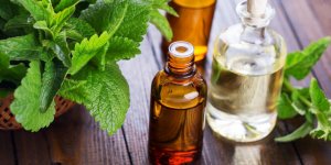 Les meilleurs remedes naturels pour soigner la gastro-enterite