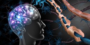 Telethon : les principales maladies neuromusculaires concernees 