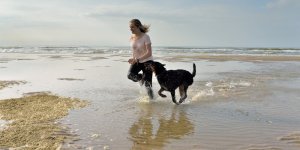 Pourquoi avoir un chien est bon pour la sante ?