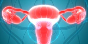 Frottis inflammatoire : que sont les cellules malpighiennes ?