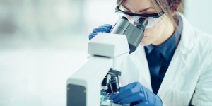 Interstitium : des scientifiques auraient decouvert un nouvel organe dans le corps humain