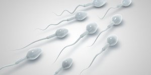 Sperme : la difference entre le liquide seminal et preseminal