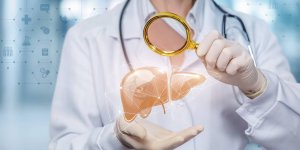 Foie : comment l’accumulation de bisphenol A et de phtalates l’endommage