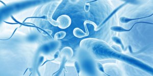 Ce medecin a utilise son propre sperme pour realiser 49 inseminations artificielles