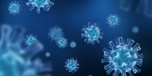 Covid-19 : l’infection peut endommager les neurones sur le long terme