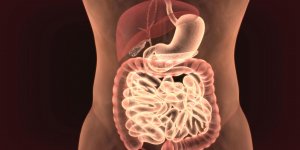 Le charbon vegetal contre la digestion difficile