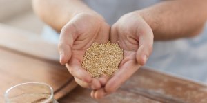 Quinoa : 6 bonnes raisons de l-ajouter a vos repas