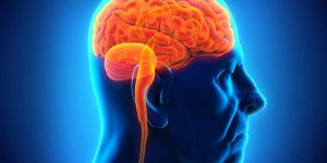 Epilepsie refractaire : 3 symptomes a connaitre