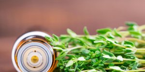 Maladie de Lyme : les solutions naturelles pour la combattre