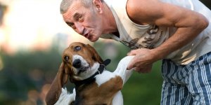 Demence : les chiens ont les memes symptomes que les humains