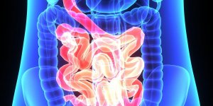 Cancer du colon : manger deux poignees de noix par semaine reduirait la recidive