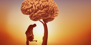 Ikigai : les cles pour trouver votre raison d’etre 