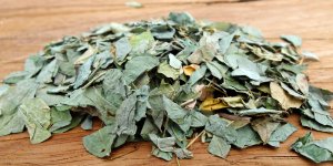 Desmodium : les indications pour la sante du foie