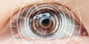 Vision peripherique et centrale : quelles differences ?