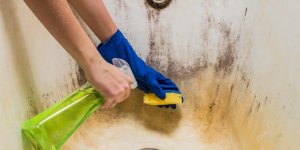 Salle de bain : 7 astuces naturelles pour enlever les moisissures