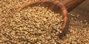 Traitement des acouphenes : un remede naturel