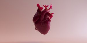 Atherosclerose : 8 signes que vos arteres vont mal 