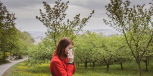 5 plantes pour combattre l-allergie au pollen