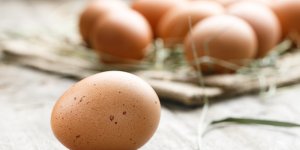 7 aliments qui contiennent plus de proteines qu’un œuf