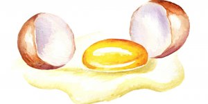 AVC : 6 aliments riches en proteines a manger chaque semaine pour l-eviter
