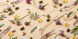 15 plantes qui favorisent la constipation