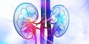 Cancer du rein : 5 signes avant-coureurs a reperer selon une oncologue