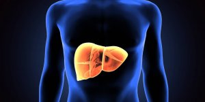6 signes physiques que votre foie est fatigue