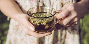 8 tisanes anti-stress pour la rentree