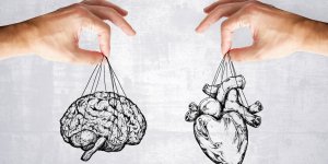 7 conseils de la medecin pour prendre soin en meme temps de votre cerveau et de votre coeur