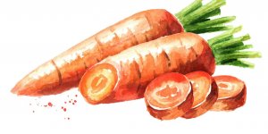 Constipation : 7 aliments a eviter 