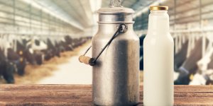 5 effets que le lait a sur votre corps 