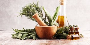 Les 10 plantes anti-fatigue 