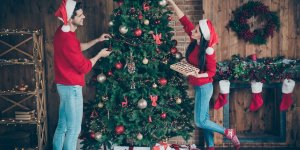 Champignons, insectes, parasites… Ce que cache vraiment votre sapin de Noel 