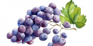 Cholesterol : 10 fruits qui peuvent vous aider a le faire baisser 