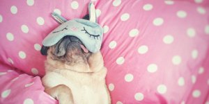 Confinement : 8 astuces pour retrouver un bon sommeil 