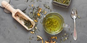 Maladie de Crohn : les plantes a prioriser pour ameliorer votre sante 