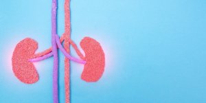 11 habitudes de medecin pour des reins en bonne sante