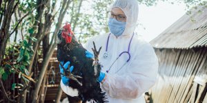 Ces maladies qu’on attrape a cause des animaux (et comment s’en proteger)