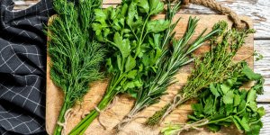 Ces 8 herbes aromatiques sont a privilegier en ete !