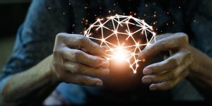 Alzheimer : la vitamine K ralentirait le declin cognitif