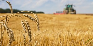 Dans quels pays d-Europe trouve-t-on le plus de pesticides, deleteres a la sante ?