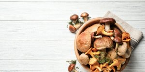 Les bienfaits sante des champignons
