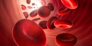 Anemie : 10 aliments pour augmenter le taux d’hemoglobine