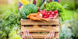 Les legumes cruciferes, des allies naturels contre l-hypertension arterielle