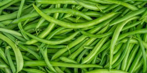 Haricots verts : 5 interets pour la sante d-en consommer