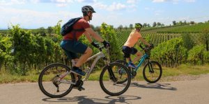 Prairies, vignes, forets, les sols francais les plus touchees par les microplastiques 