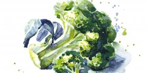 Declin cognitif : un regime riche en flavanols ameliorerait les fonctions cerebrales