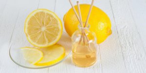 6 purifiants d-interieur naturels